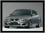 E60, BMW Seria M, BMW 5