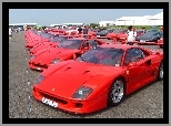 Ferrari F 40, Zlot, Posiadaczy