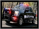 Ford F-150, Policyjny
