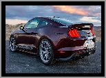 Ford Mustang Shelby Super Snake, Tył
