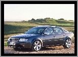 S6, Granatowe