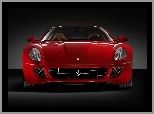 Grill, Przód, Ferrari 599