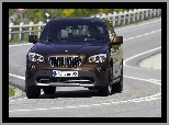 Halogeny, Przód, BMW X1
