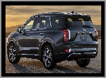 Hyundai Palisade, Czerny