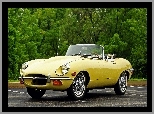 Jaguar e-type 1968