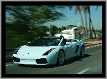 Jezdne, Lamborghini Gallardo, Właściwości