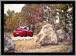 Kamienie, Drzewa, Porsche, Czerwone, 911