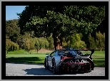 Las, Lamborghini, Droga