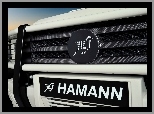 Karbon, Logo, Hamann