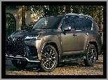 F Sport, Lexus LX