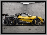 Bok, Ford GT, Mansory Under Armour