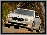 Model, BMW 750Li, Flagowy