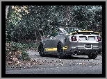 Mustang, Chicane, Ford, Tuning