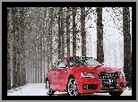 Śnieg, Droga, Audi S5, Czerwone, Las
