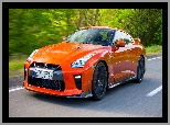 Nissan GT-R, Droga, Czerwony, Las