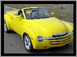 Chevrolet, Żółty, Pickup