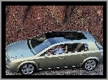 Szklany Dach, Opel Signum