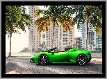 Palmy, Zielone, Lamborghini Huracan