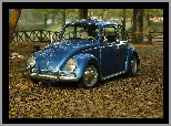 Park, Volkswagen Beetle, Garbus