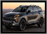 X, Kia Sportage, PHEV