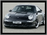 GT 500, Porsche 911