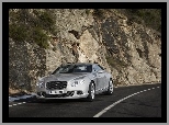 Powietrza, Bentley Continental GT, Wloty