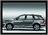 Progów, Audi Q7, Osłony