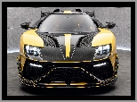 Ford GT, Mansory, Przód, Under Armour