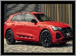 Audi Q8 E-Tron S