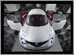 Drzwi, Nissan Qazana