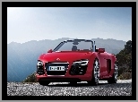 Audi R8, Czerwone