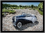 Rolls Royce Silver Dawn, Park, Zabytkowy, 1952