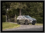 Lexus RX 450hL