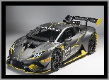2017, Samochód Rajdowy, Lamborghini Huracan Super Trofeo Evo