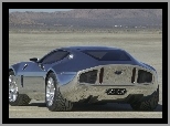 Ford GR-1, Shelby