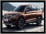 Skoda Kodiaq, Brązowa