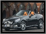 Kabriolet, Mercedes-Benz SLK, Carlsson CB25 S
