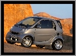 Smart Fortwo, Szary