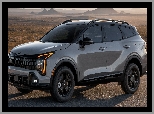 X Pro, Kia Sportage