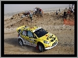 WRC, Suzuki SX4