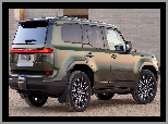 Bok, Lexus GX, Tył