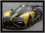 Mansory Under Armour, Ford GT