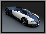 Bugatti Veyron, Dwuosobowy