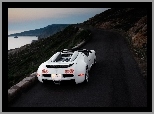 Bugatti, Veyron, Sport, Grand