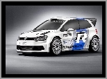 volkswagen Polo R WRC