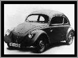Volkswagen Garbus, Volkswagen